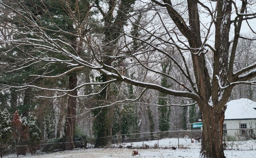 Pause for Poetry – Café&nbsp;Scribblings